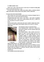 Referāts 'Kultūras tūrisma raksturojums Latvijā', 8.