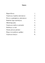 Biznesa plāns 'IK "Petra"', 2.