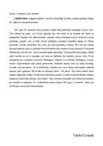 Paraugs 'Lāčplēša diena', 3.