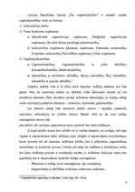 Referāts 'Vadības teorija', 4.