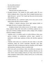 Referāts 'Vadības teorija', 11.