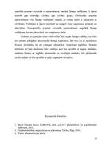 Referāts 'Vadības teorija', 16.