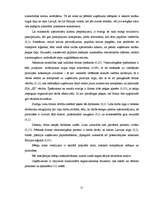 Diplomdarbs 'ES fondu piesaiste Latvijas transporta pakalpojumu uzņēmuma SIA "SS" attīstībai', 22.