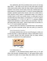 Diplomdarbs 'ES fondu piesaiste Latvijas transporta pakalpojumu uzņēmuma SIA "SS" attīstībai', 29.