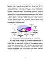Diplomdarbs 'ES fondu piesaiste Latvijas transporta pakalpojumu uzņēmuma SIA "SS" attīstībai', 37.