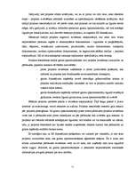 Diplomdarbs 'ES fondu piesaiste Latvijas transporta pakalpojumu uzņēmuma SIA "SS" attīstībai', 51.