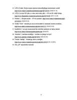 Diplomdarbs 'ES fondu piesaiste Latvijas transporta pakalpojumu uzņēmuma SIA "SS" attīstībai', 57.