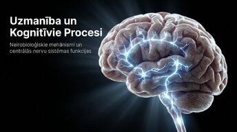 Prezentācija 'Uzmanība un kognitīvie procesi', 1.