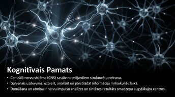 Prezentācija 'Uzmanība un kognitīvie procesi', 2.