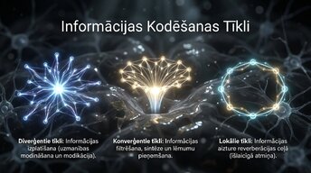Prezentācija 'Uzmanība un kognitīvie procesi', 8.