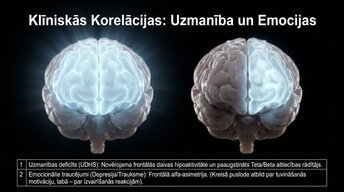 Prezentācija 'Uzmanība un kognitīvie procesi', 10.