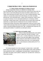 Referāts 'Reklāmu veidi', 6.