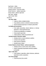 Biznesa plāns 'SIA "Izklaides un svinību birojs"', 5.