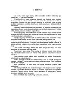 Biznesa plāns 'SIA "Izklaides un svinību birojs"', 8.