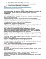 Konspekts 'Konspekts par radioviļņu izmantošanu', 2.