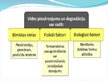 Prezentācija 'Ķīmiskie piesārņojumi', 4.