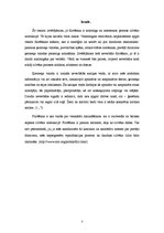 Referāts 'Dzimumu atšķirības flirtā', 3.