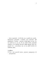 Konspekts 'Pusaudža analīze', 4.