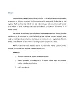 Konspekts 'Latviešu tautas mākslas saikne ar mūsdienu kino un monētu mākslu', 2.