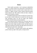 Referāts 'Produkta virzīšana tirgū', 3.