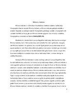 Eseja 'Ministru kabineta, vietējo pašvaldību un Saeimas darbs', 2.