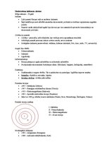 Konspekts 'Modernisms un postmodernisms', 1.