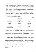 Konspekts 'Kontroles pamati un kontroles efektivitāte', 3.