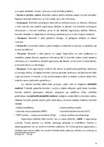 Konspekts 'Kontroles pamati un kontroles efektivitāte', 6.