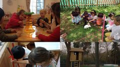 Prezentācija 'Selestina Frenē alternatīvā pedagoģija', 17.