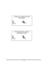 Referāts 'Marģers Skujenieks - dzīve un politiskā darbība', 21.