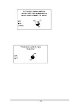 Referāts 'Marģers Skujenieks - dzīve un politiskā darbība', 22.