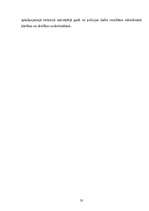 Diplomdarbs 'Valsts policijas iecirkņa darba organizācijas pilnveidošanas tiesiskie un prakti', 32.