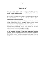 Referāts 'Nabadzība Lielbritānijā', 11.