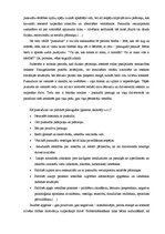 Referāts 'Pusaudžu dzimumaudzināšana', 12.