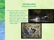 Prezentācija 'Putnu dzīvesvietas', 7.