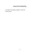 Referāts 'Uzņēmuma "MK" lokālā datortīkla izveidošana', 11.