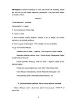 Prakses atskaite 'Salas ezers', 14.