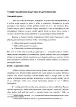 Referāts 'Vidi ietekmējošo faktoru raksturojums', 4.