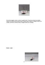 Referāts 'Jods', 23.