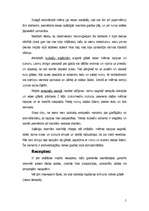 Referāts 'Mojito', 5.