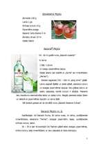 Referāts 'Mojito', 7.