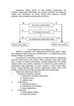 Referāts 'SIA "Arners" mārketinga pamatelementu analīze', 11.