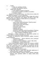 Referāts 'SIA "Arners" mārketinga pamatelementu analīze', 12.