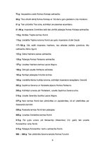 Referāts 'Tempļu attīstība Senajā Romā', 6.