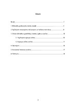 Prakses atskaite 'Izglītojamo interešu izpēte  KT Cīravas teritoriālās struktūrvienības bibliotēkā', 2.