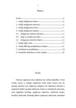 Referāts 'Atalgojums', 2.