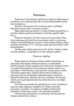 Referāts 'Nemetāliskie materiāli', 1.