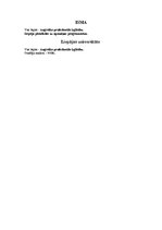 Referāts 'Uzņēmējdarbība', 17.