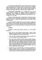 Eseja 'Brīvās ekonomiskās zonas Latvijā', 3.