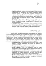 Referāts 'Japāņu restorāna pētīšana (mārketings)', 17.